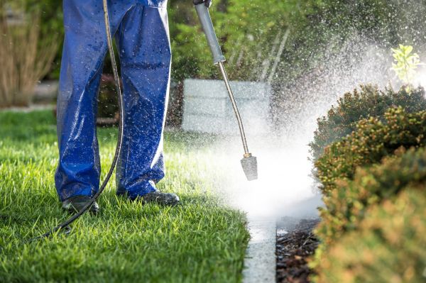 Curb Cleaning in Norristown