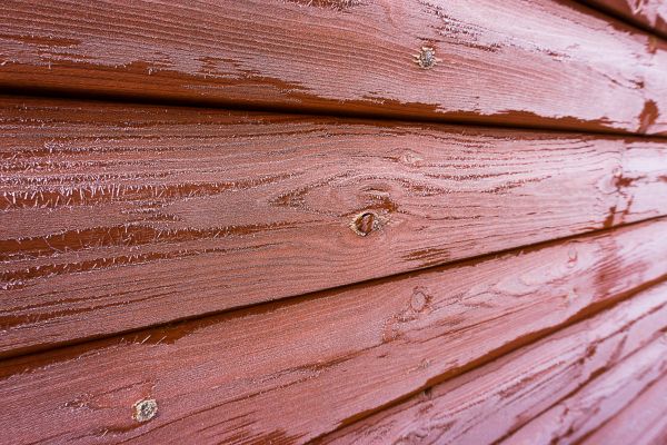 Cedar Siding Cleaning in Norristown