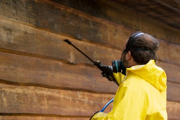 Cedar Siding Washing in Norristown